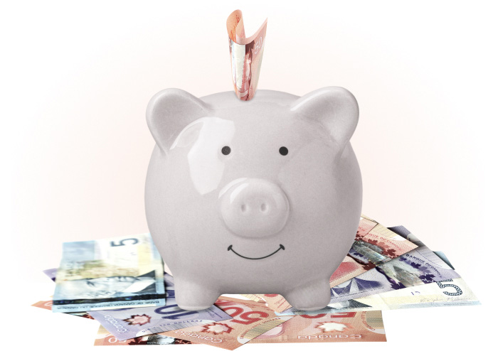 Piggy bank icon