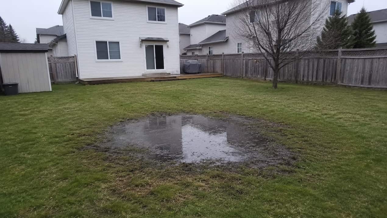 septic leach field