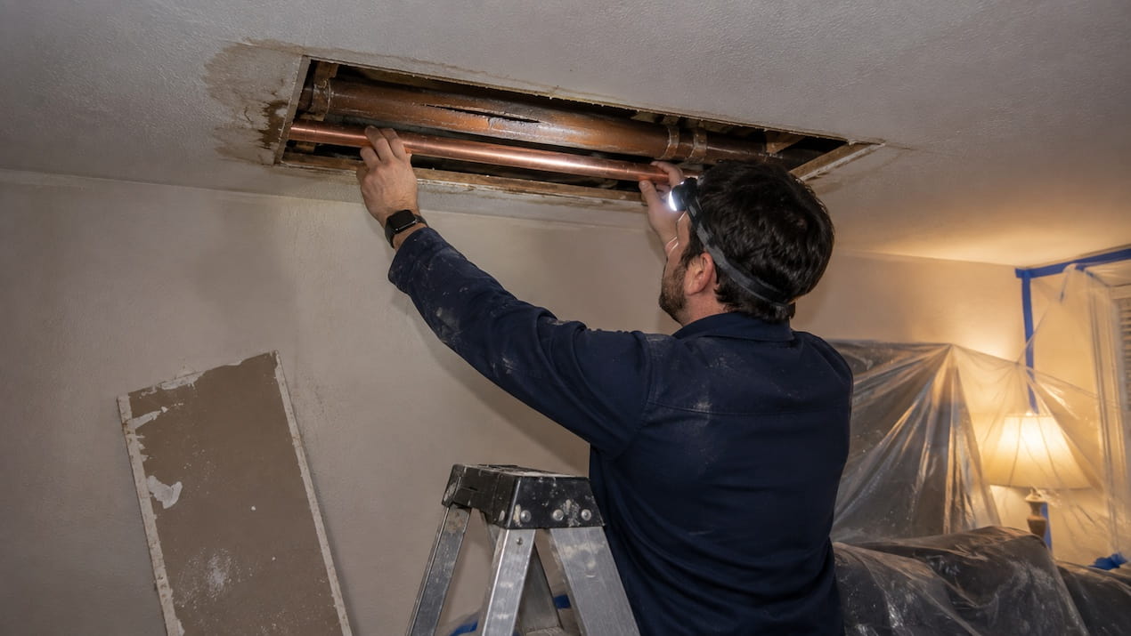 burst pipe repair hamilton